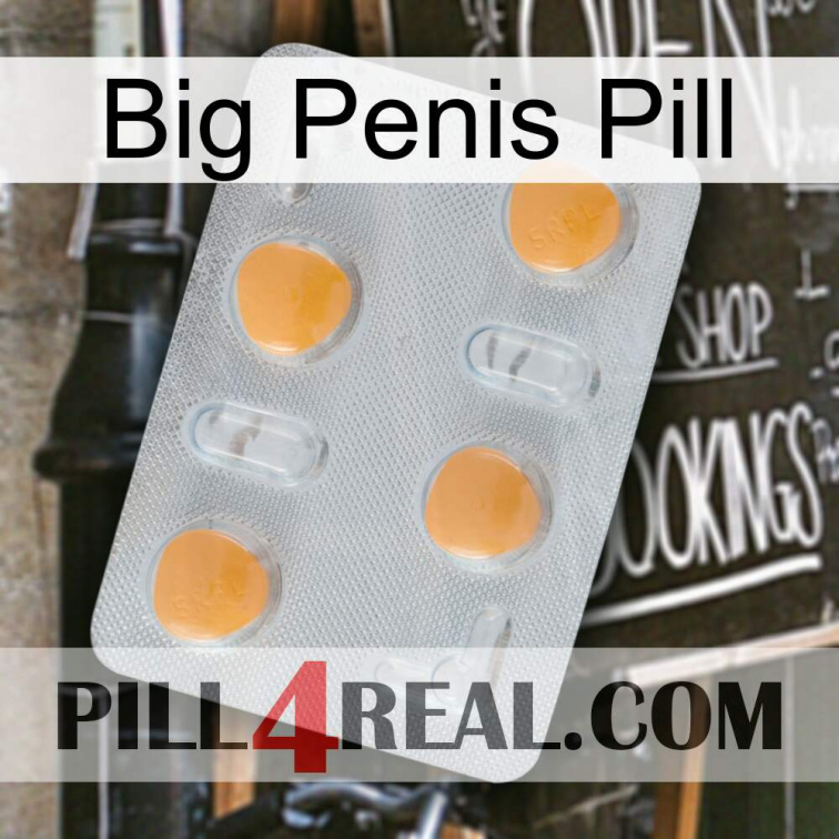 Big Penis Pill 24